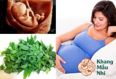 Thực hư chuyện bà bầu ăn rau ngót bị sảy thai?
